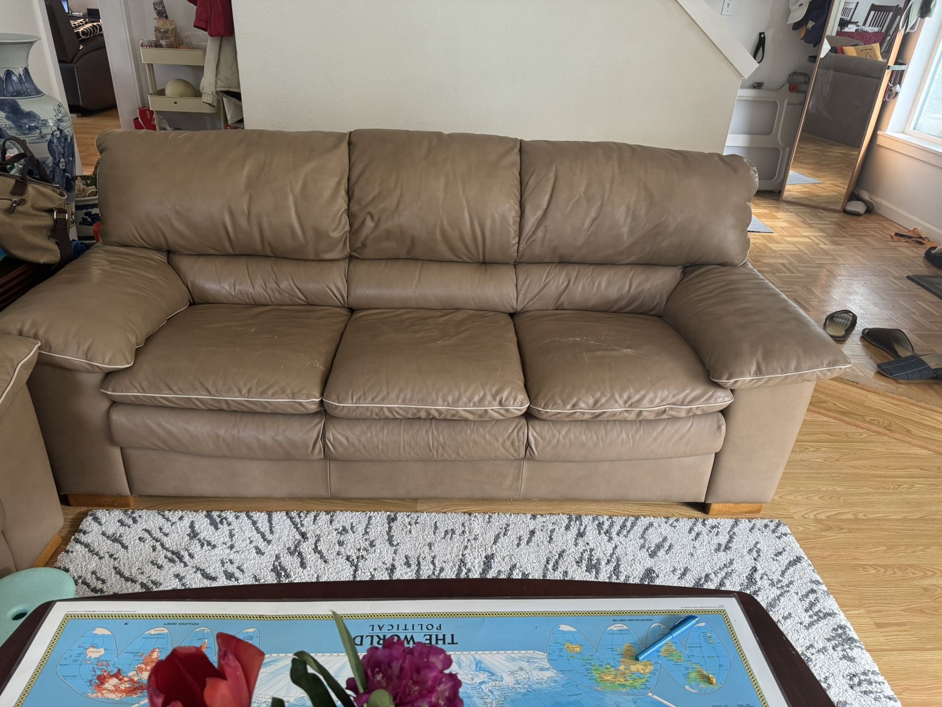 Leather Couches