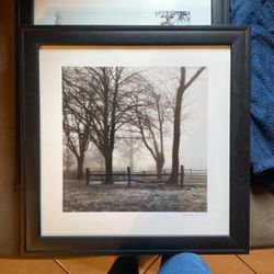 Framed Black and White Art