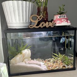 Fish Tank With Accessories