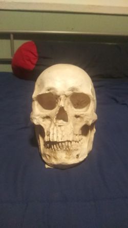 It is what it is, a skull