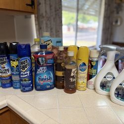 Assorted Cleaning and Insect Control Products
