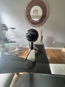 Blue yeti snowball mic