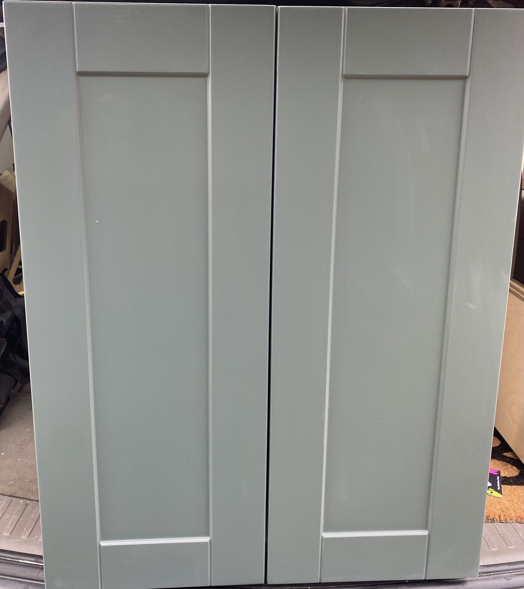 24 in. W x 12 in. D x 30 in. H Assembled Plywood Wall Kitchen Cabinet in Verdant Green
