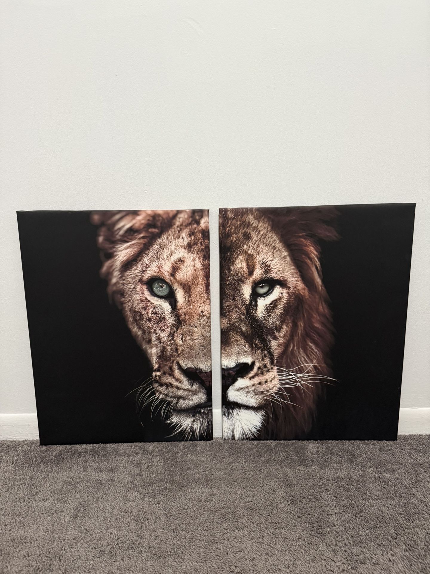Wall Canvas Art 24x18