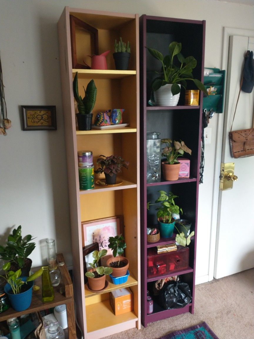 Tall IKEA bookshelves