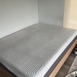 Platform Bed Frame 