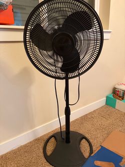Lasko Black Pedestal Standing Fan