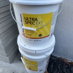 Benjamin Moore Exterior Paint (Solitude)