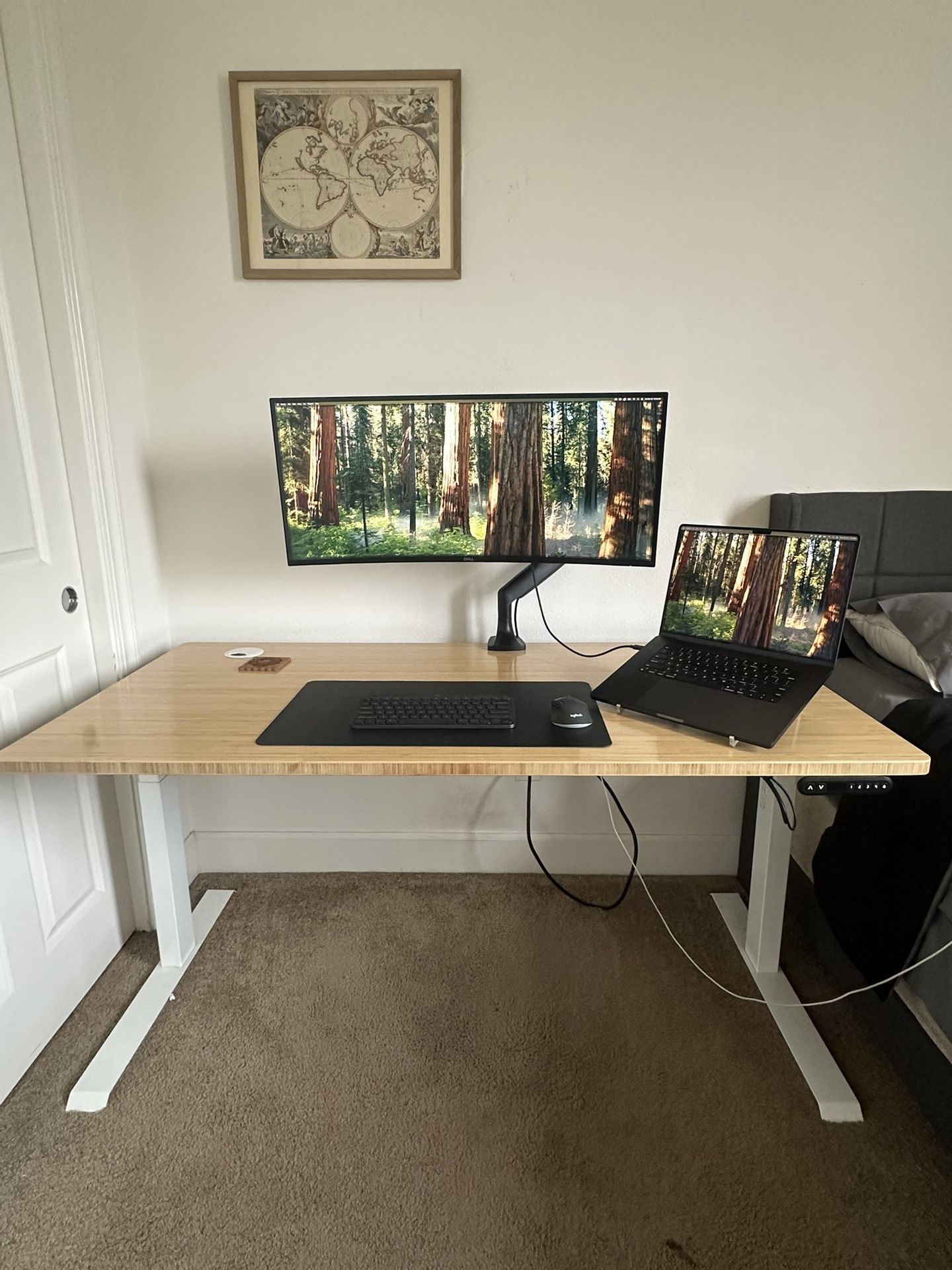 Standing Desk (Vernal)