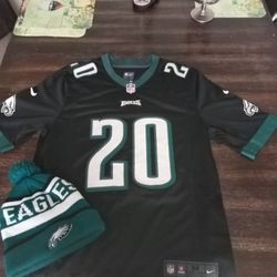 Brian Dawkins Philadelphia On Flied Nike Jersey & Skully