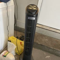 Electric Fan