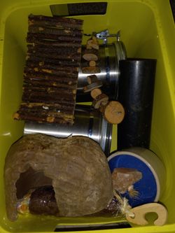 Rat supplies