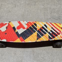 22 Inch Skateboard