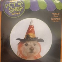 Small Dog Costume - Candy Corn Hat
