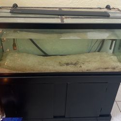75 Gallon Fish Tank