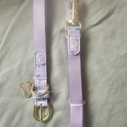 Dog Collar With Leash 