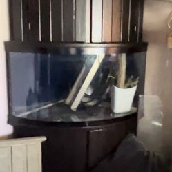 100 Gallon Aquarium Fish Tank