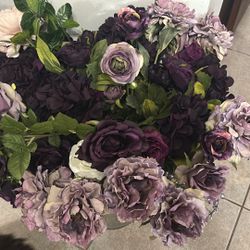 Flores 