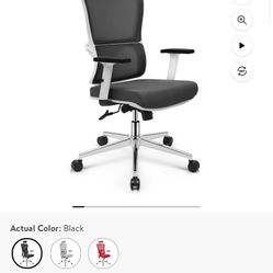 NEW OFFICE CHAIR 