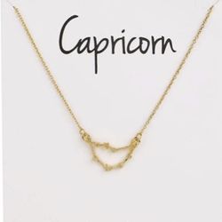 Capricorn ♑️ Zodiac Constellation 🌌 Pendant Necklace