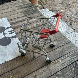 Mellisa and dog shopping cart