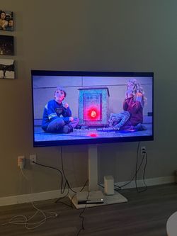 65” Philips TV + Xbox + floor TV stand/holder
