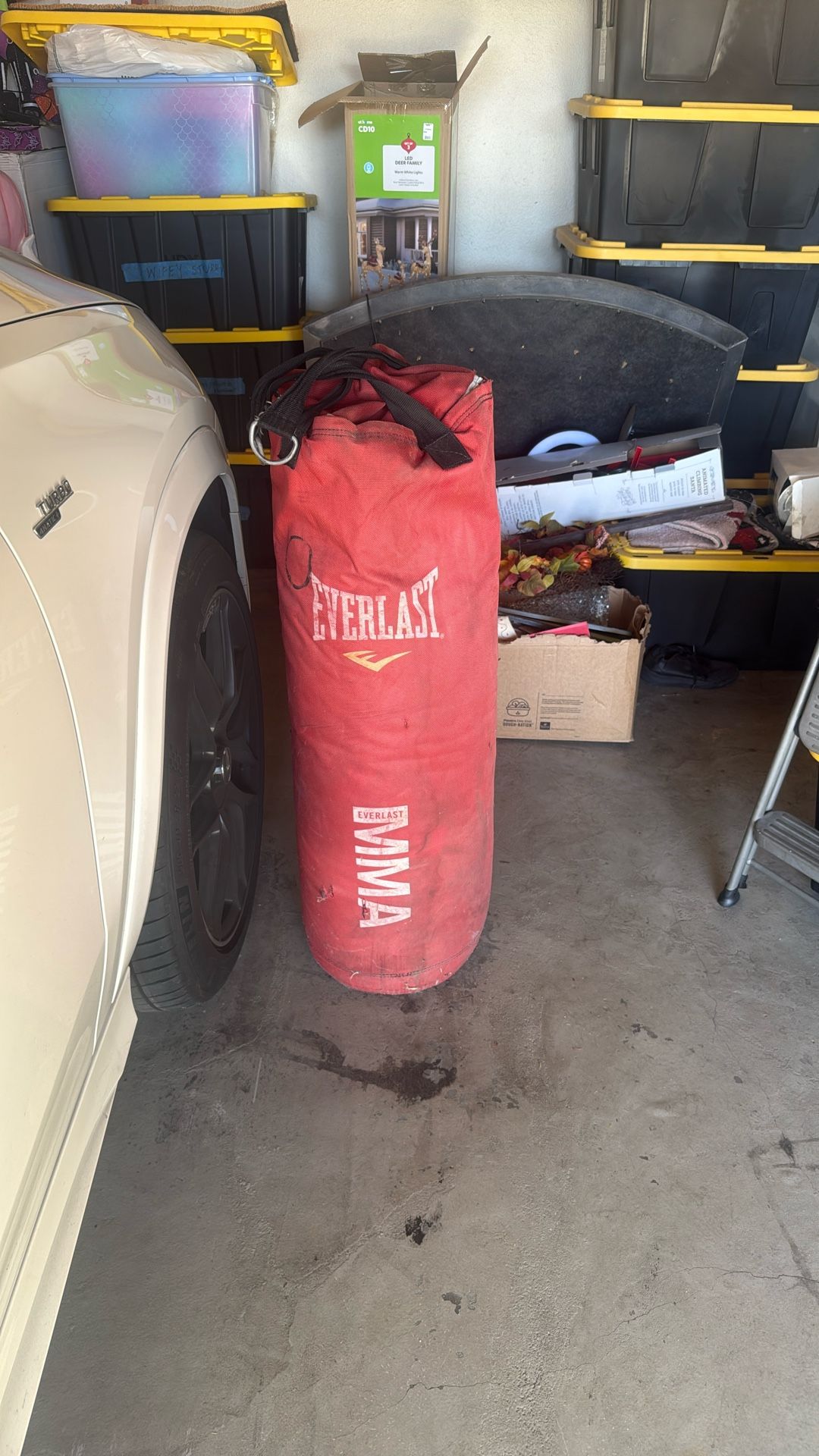Everlast Punching Bag