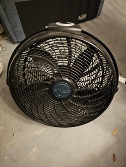 Fan