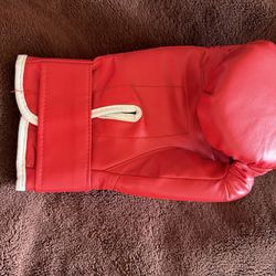 Boxing Glove new