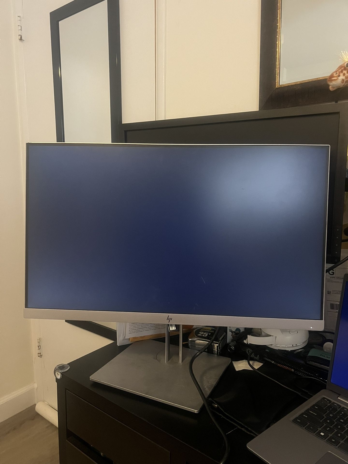 HP Monitor