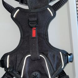 Dog harness 