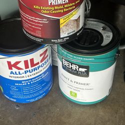 Paint And Primer Brand New
