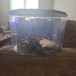 Fish Tank 