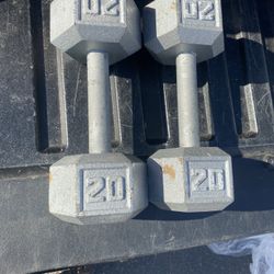 20 lb. Cast Iron Hex Dumbbell