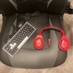 Turtle Beach Headset, Wireless , A Dierya Keyboard, A Logitech Mouse