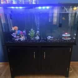 55 Gallon Tank And Stand No Pets
