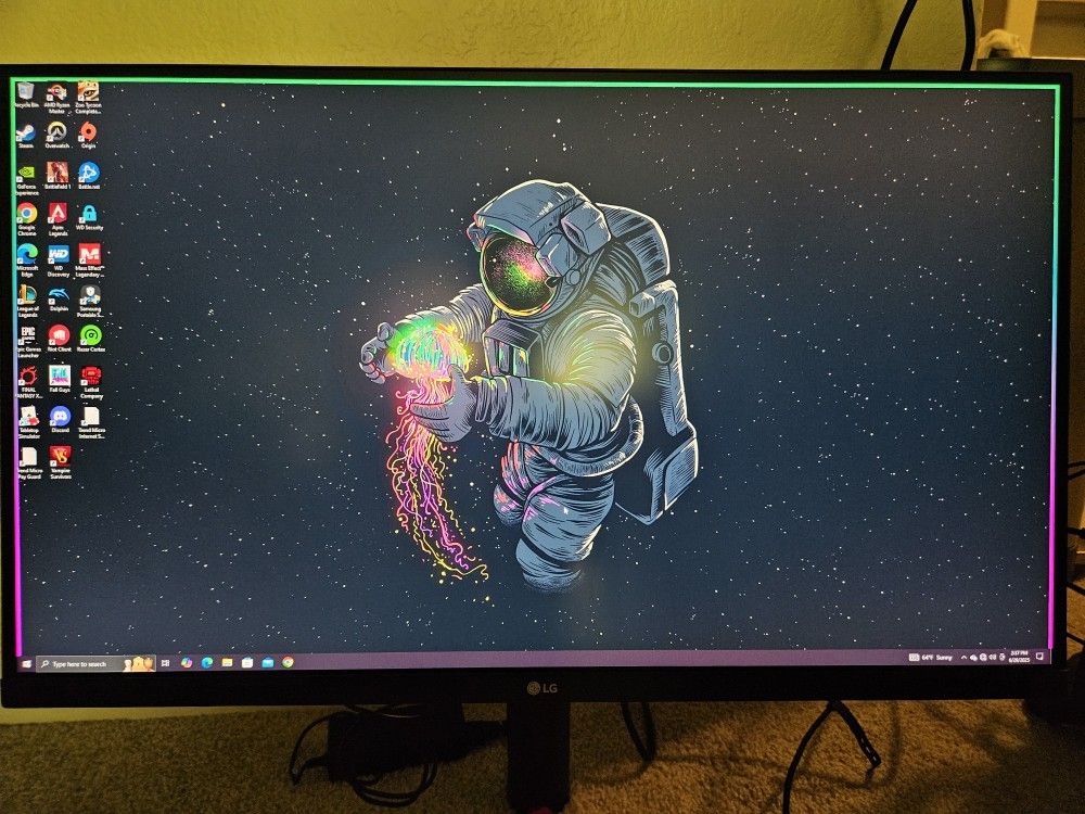 LG Ultra Gear Gaming Monitor