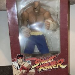 Street Fighter Ryu & Sagat Action Figure Set