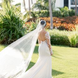 Wedding Dress & Veil