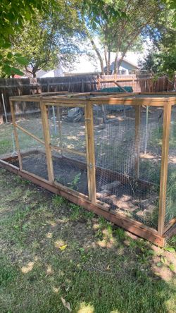 Chicken run