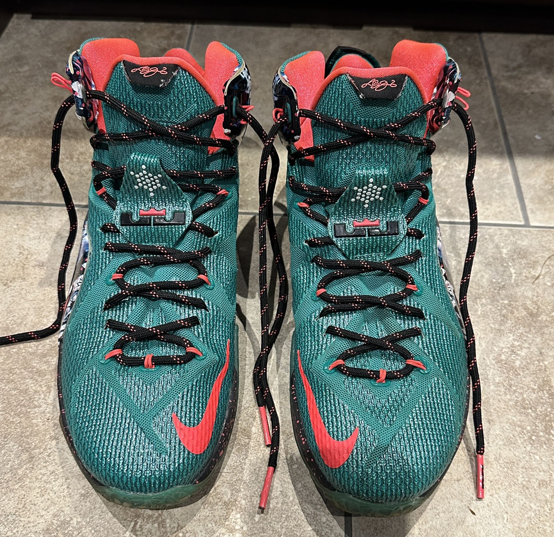 Nike LeBron James 12 Xmas Akron Birch Men's Sz 11.5 Christmas Green 707558-363