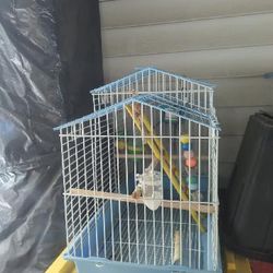 Bird Cage
