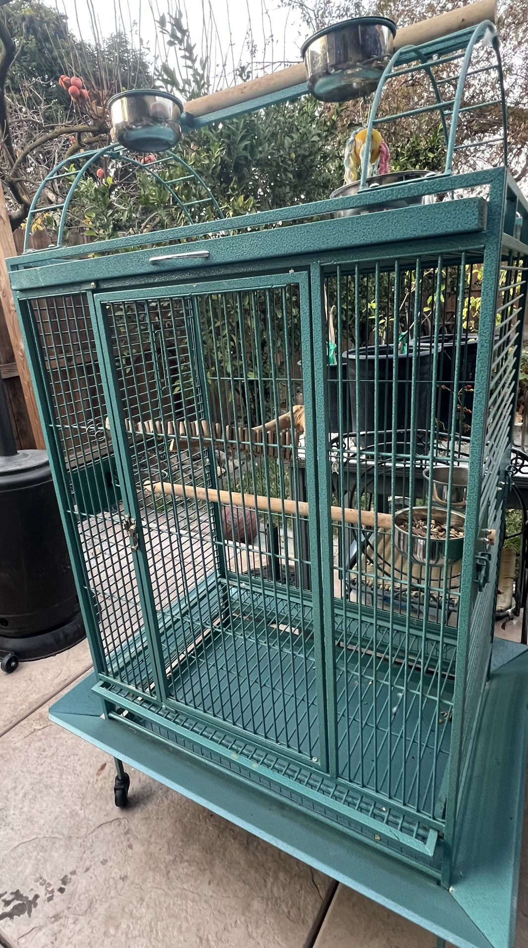 Bird Cage