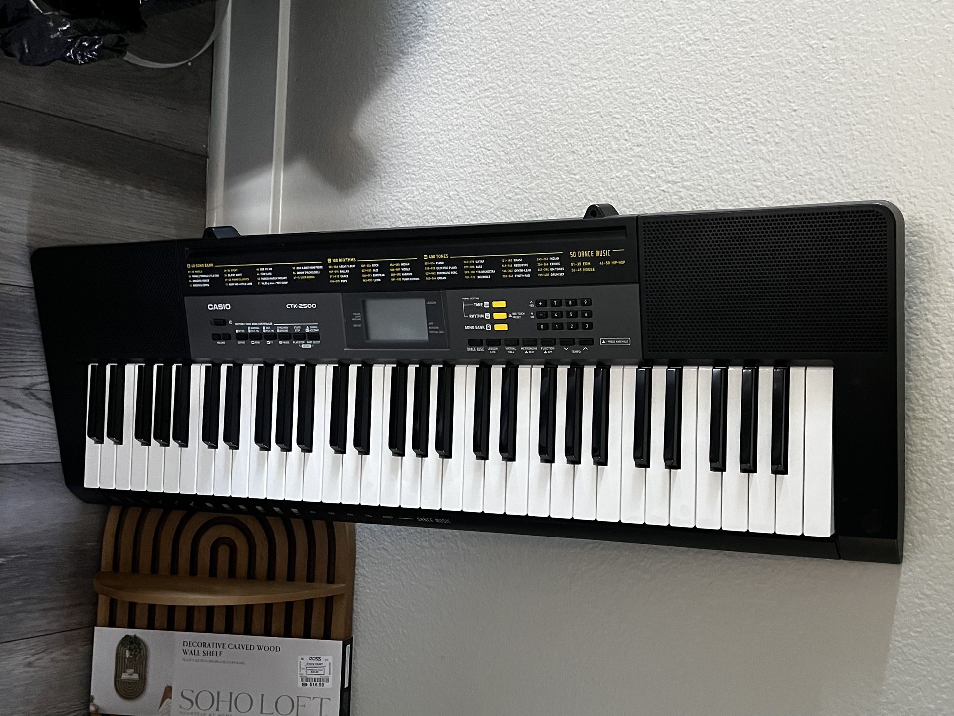 CASIO CTK-2500 Portable Keyboard (Black)
