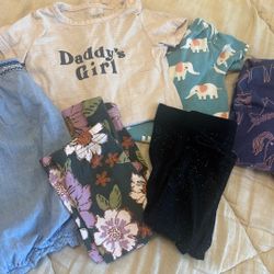 Baby Girl 12 Month Lot 