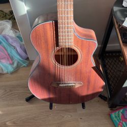 Breedlove Acoustic Guitar