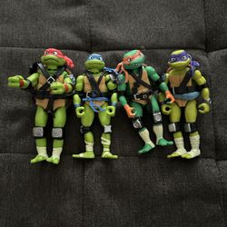 Ninja Turtle Action Figures 