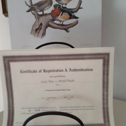 R.L. "Bob" Kothenbeutel  Drawings