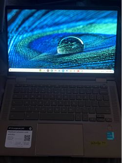 Hp chromebook laptop