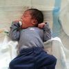 Youngin 